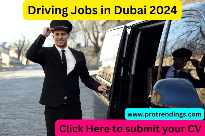 Driving Jobs in Dubai 2024